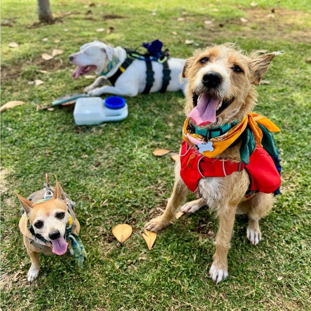 Meet your Posher, Zachary